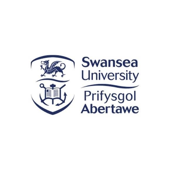 Swansea University