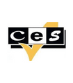 ces lemon academy icon