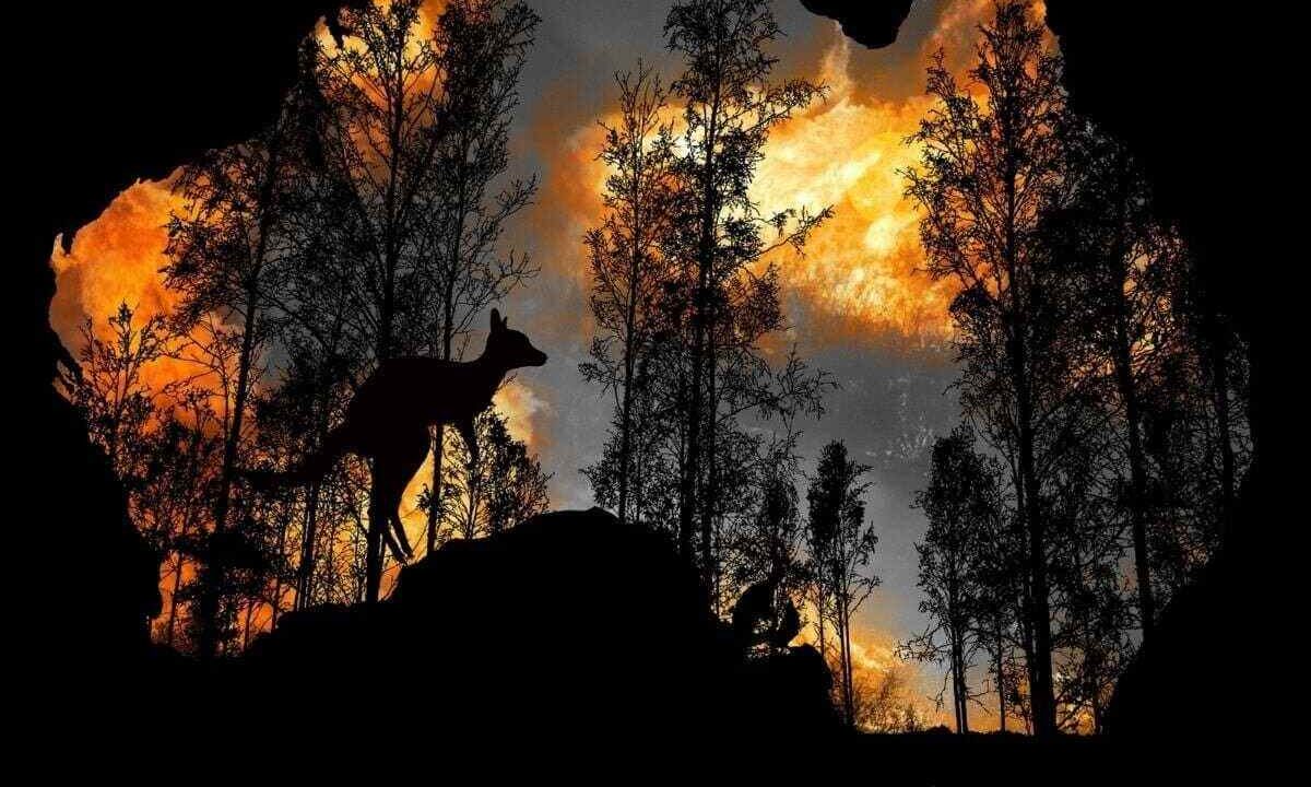 Avustralya’da Yangın Bilinci