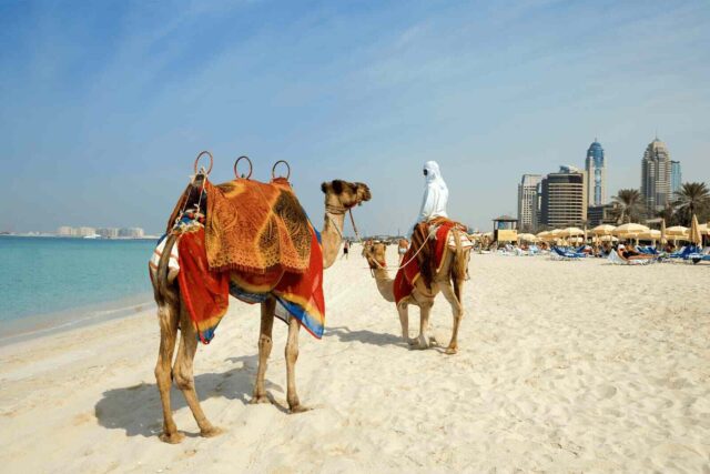 dubai plajı
