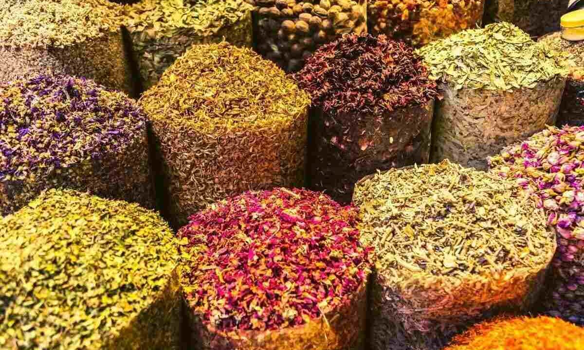 Dubai’de Baharat Çarşısı!