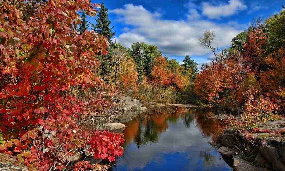 Kanada’da Dört Mevsim