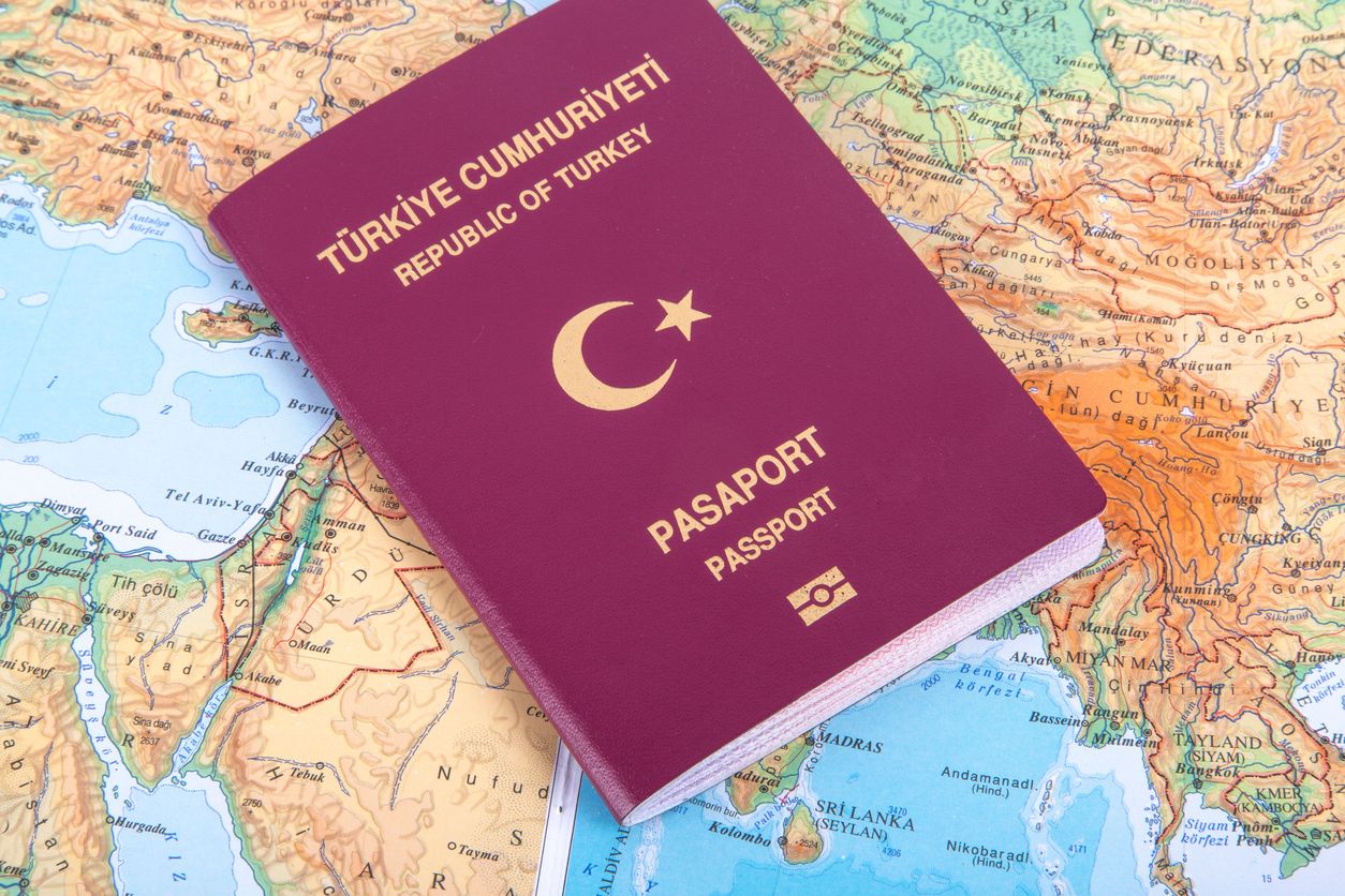 vize pasaport kayitlarina ulasma