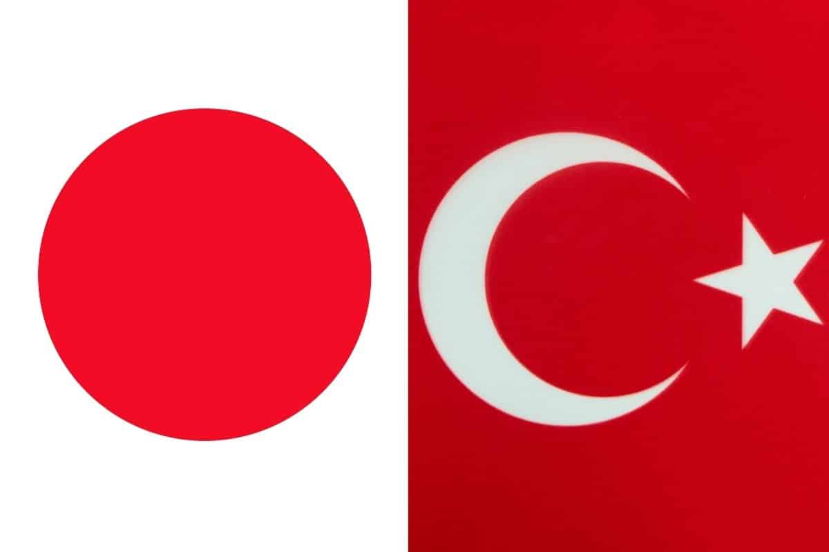 japonya türklerden vize istiyor mu