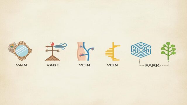 Vain vs Vane vs Vein: Anlam, Telaffuz ve Doğru Kullanım