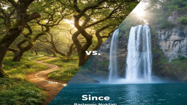 For ve Since: Kullanım Farkları, Kurallar ve Örnekler