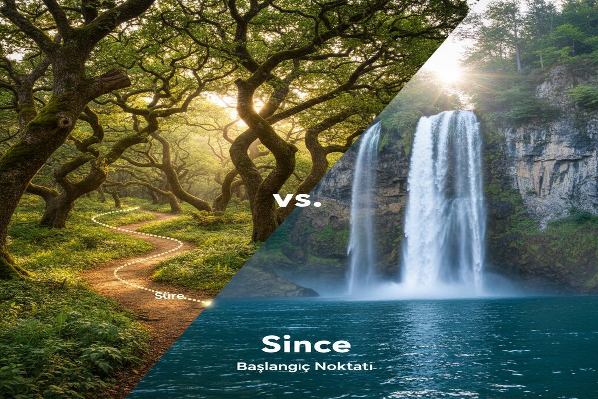 For ve Since: Kullanım Farkları, Kurallar ve Örnekler