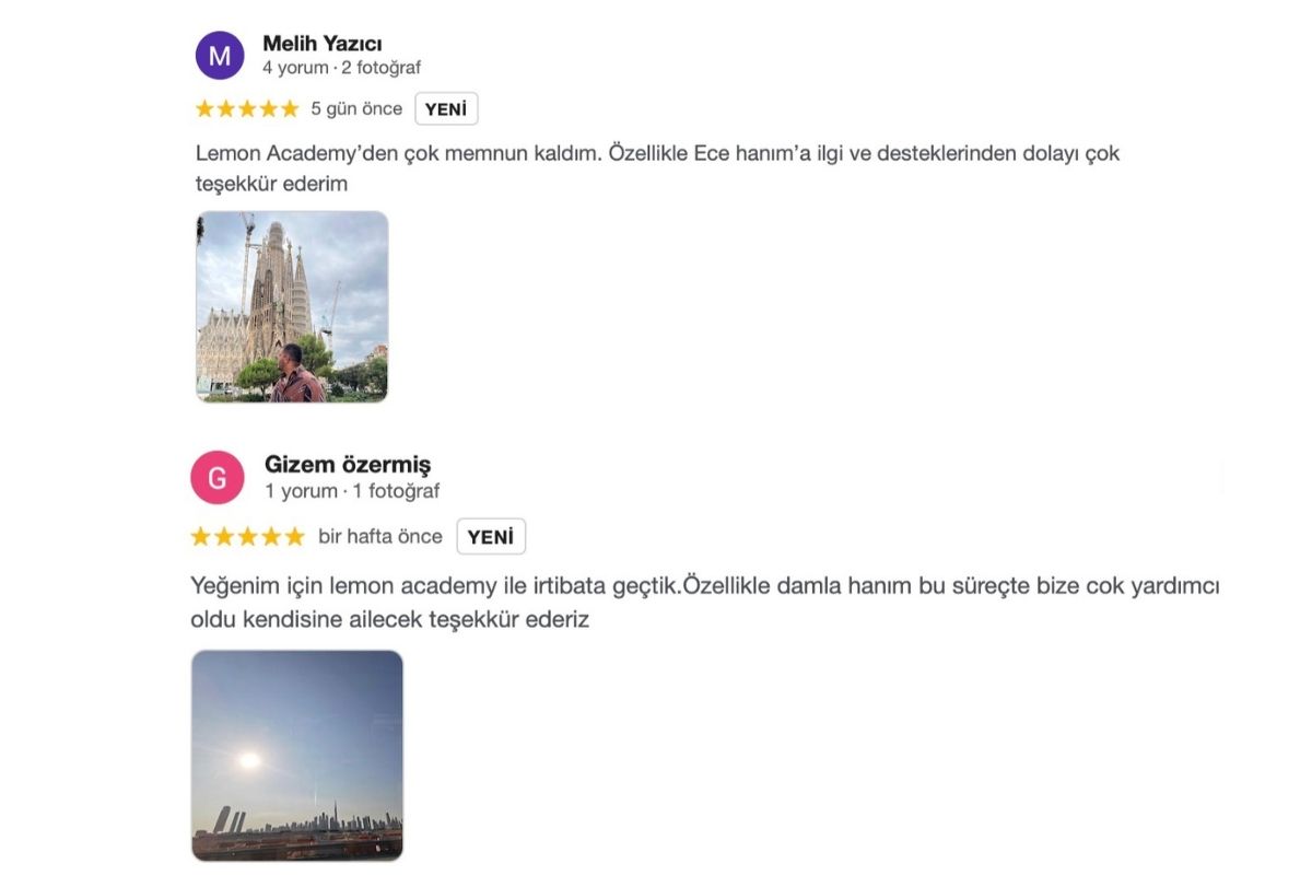 Lemon Academy Google işletme puanları