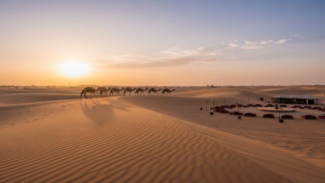 Dubai Çöl Safari Rehberi: Tur Seçenekleri, Fiyat ve İpuçları