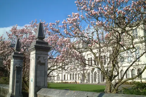 Cardiff Üniversitesi