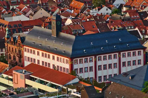 Heidelberg Neue Universität