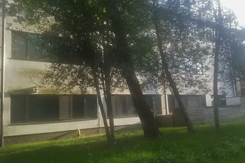 Middlesex Üniversitesi kampüs binası ve ağaçlar