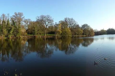 Reading Üniversitesi Whiteknights panorama