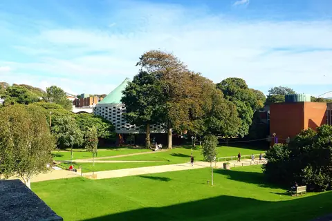 University of Sussex kampüsü